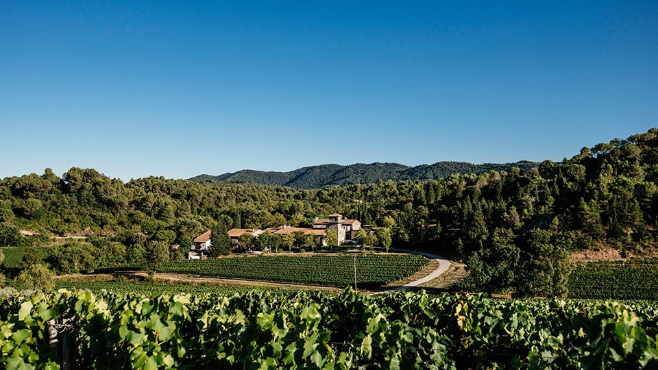 Domaine viticole proche Carcassonne